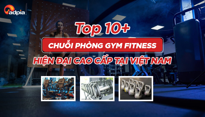 Top 10+ chuỗi phòng Gym Fitness hiện đại cao cấp tại Việt Nam