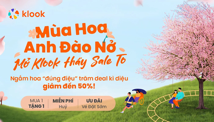 klook-hoa-anh-dao