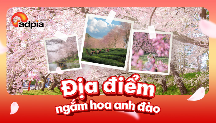 Địa điểm ngắm hoa anh đào - Đắm mình trong vẻ đẹp mộng mơ