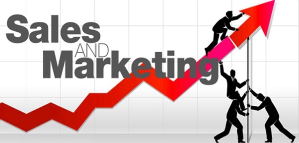 sale-and-marketing-la-gi-3
