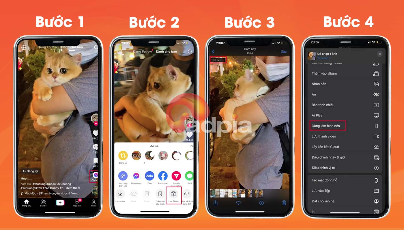 Cách lấy video tiktok làm hình nền 1