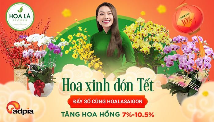 [HOALASAIGON] HOA XINH ĐÓN TẾT - ĐẨY SỐ CÙNG HOA LÁ SÀI GÒN