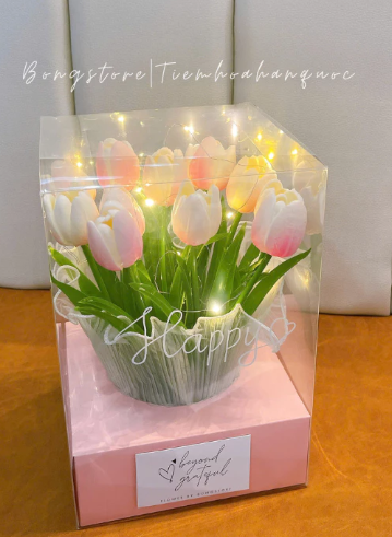 qua-tang-20-11-y-nghia-giang-vien-dai-hoc-hoa-sap