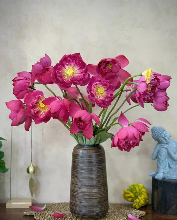 qua-tang-20-11-y-nghia-giang-vien-dai-hoc-binh-hoa