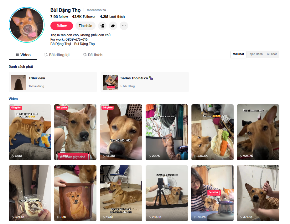 tips-dat-1000-follow-cho-nguoi-moi-lam-tiktok